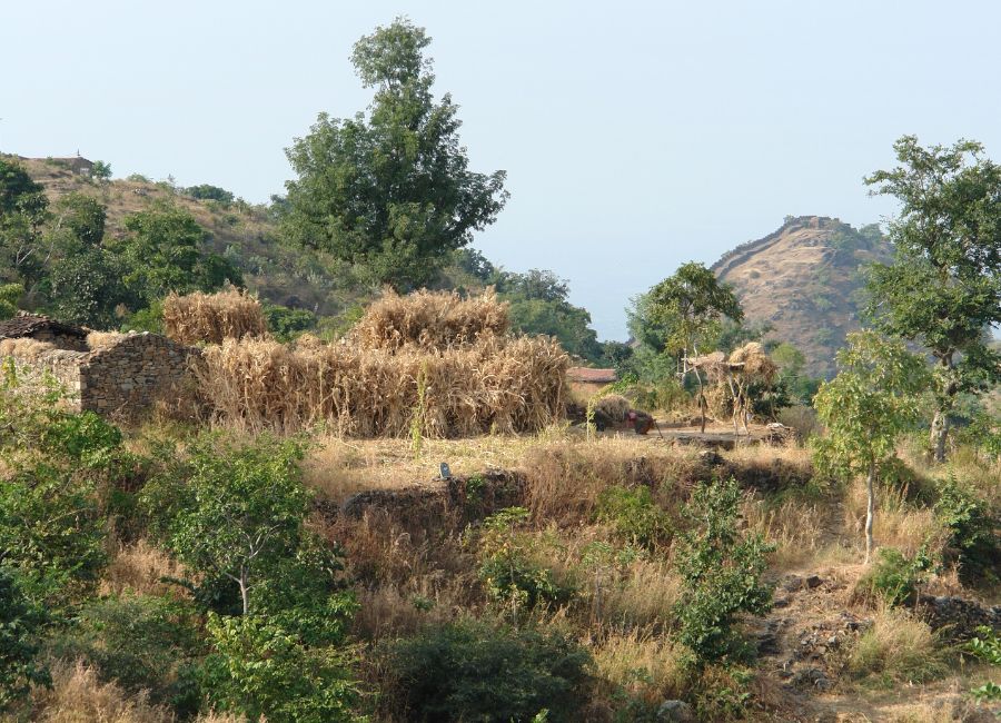 Green Aravali hills