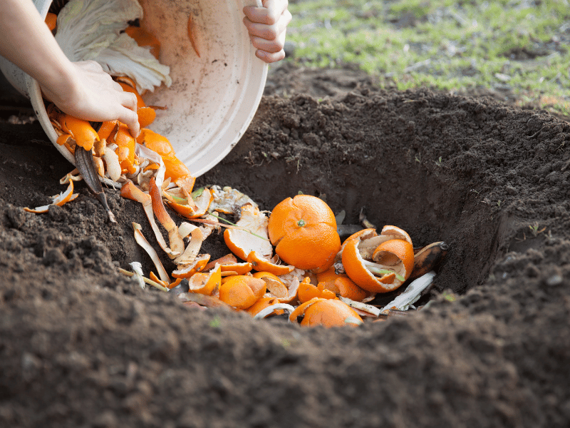 COMPOST: How is it beneficial for us?